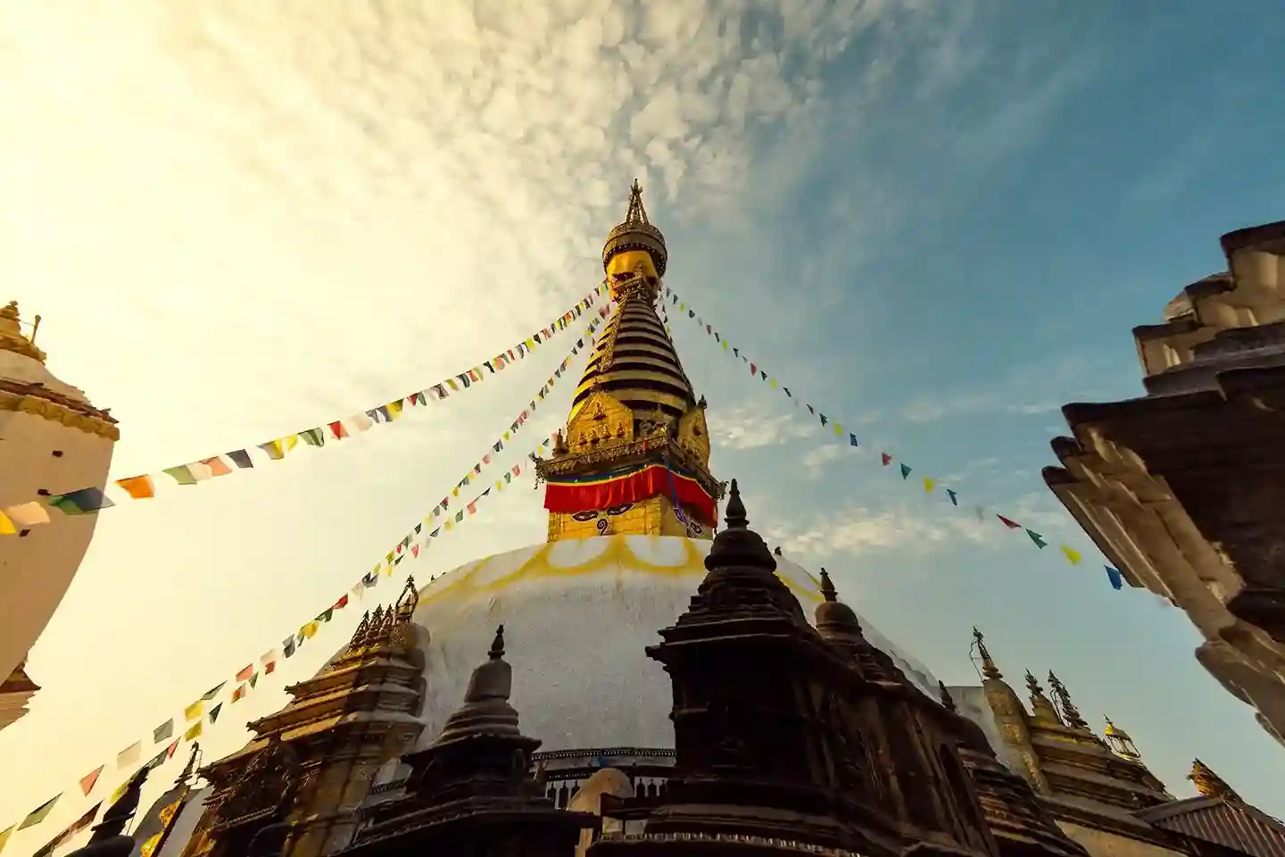 See Transparent Pricing