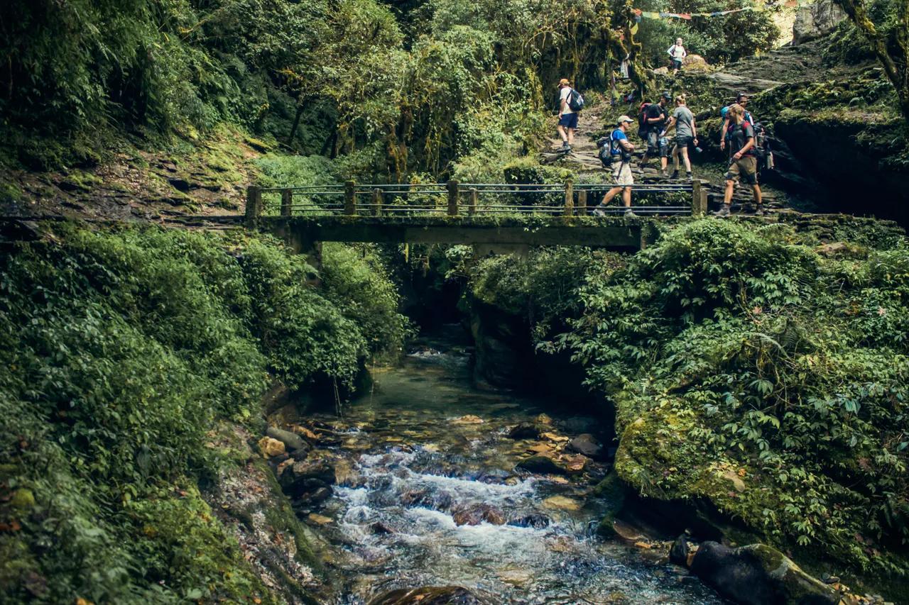 Trekkers crossing a stone bridge over a rushing mountain stream surrounded by lush green forest on the Annapurna Region in Nepal
