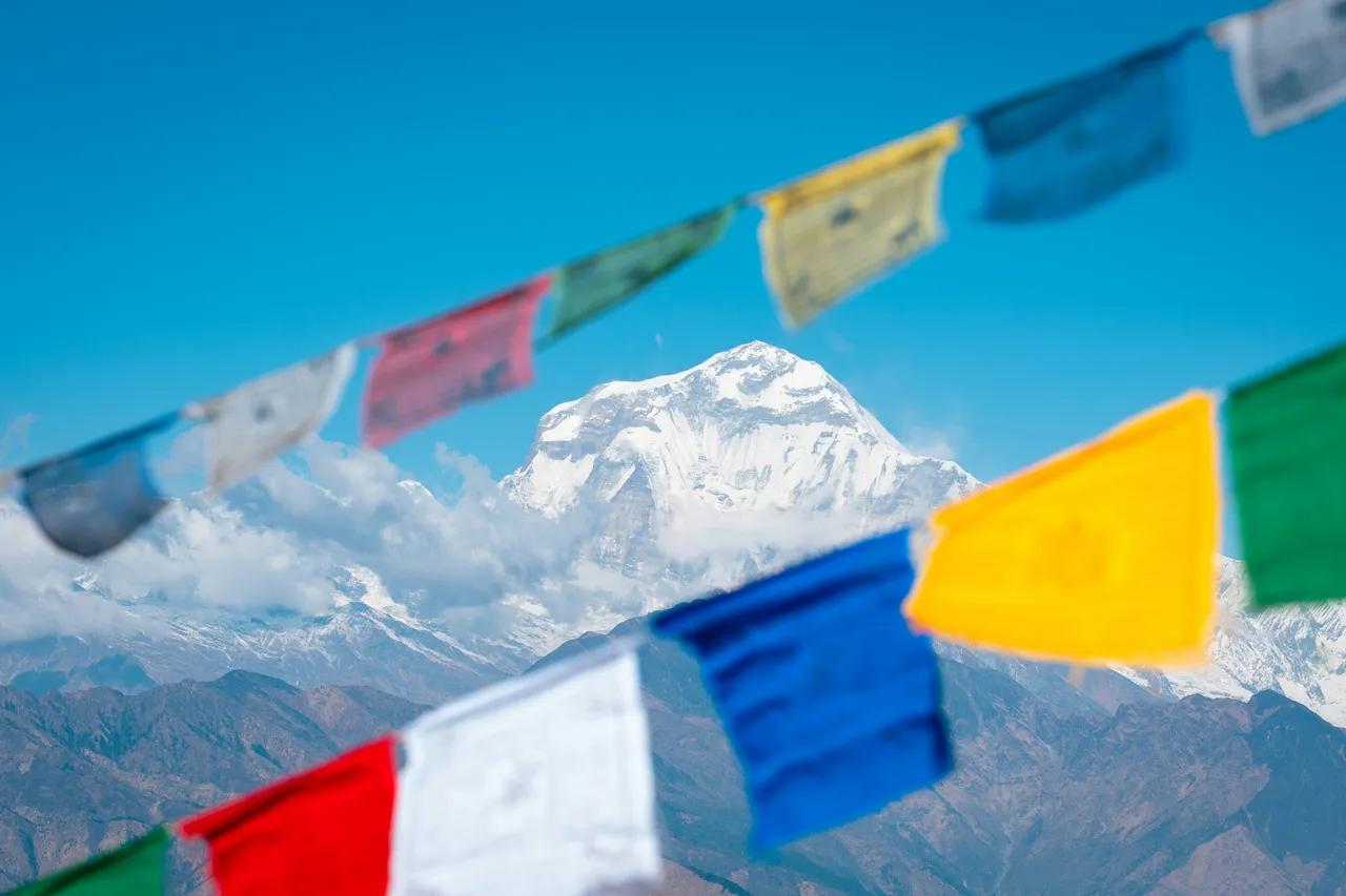 Sunrise panorama from Poon Hill showing Dhaulagiri and Annapurna ranges with prayer flags in the foreground