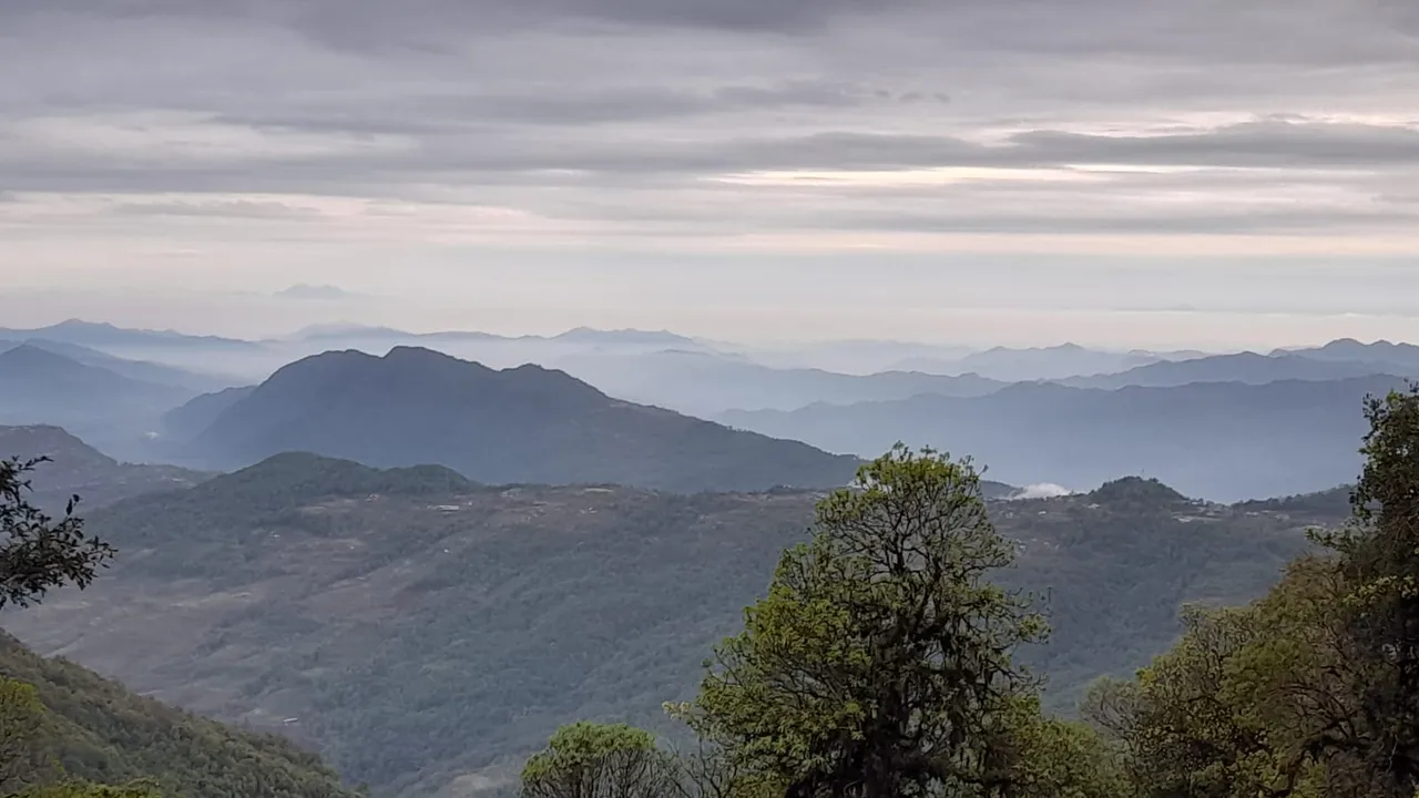 The lower trail on a still-dry monsoon day — lush, green, and deceptively calm before the clouds moved in.